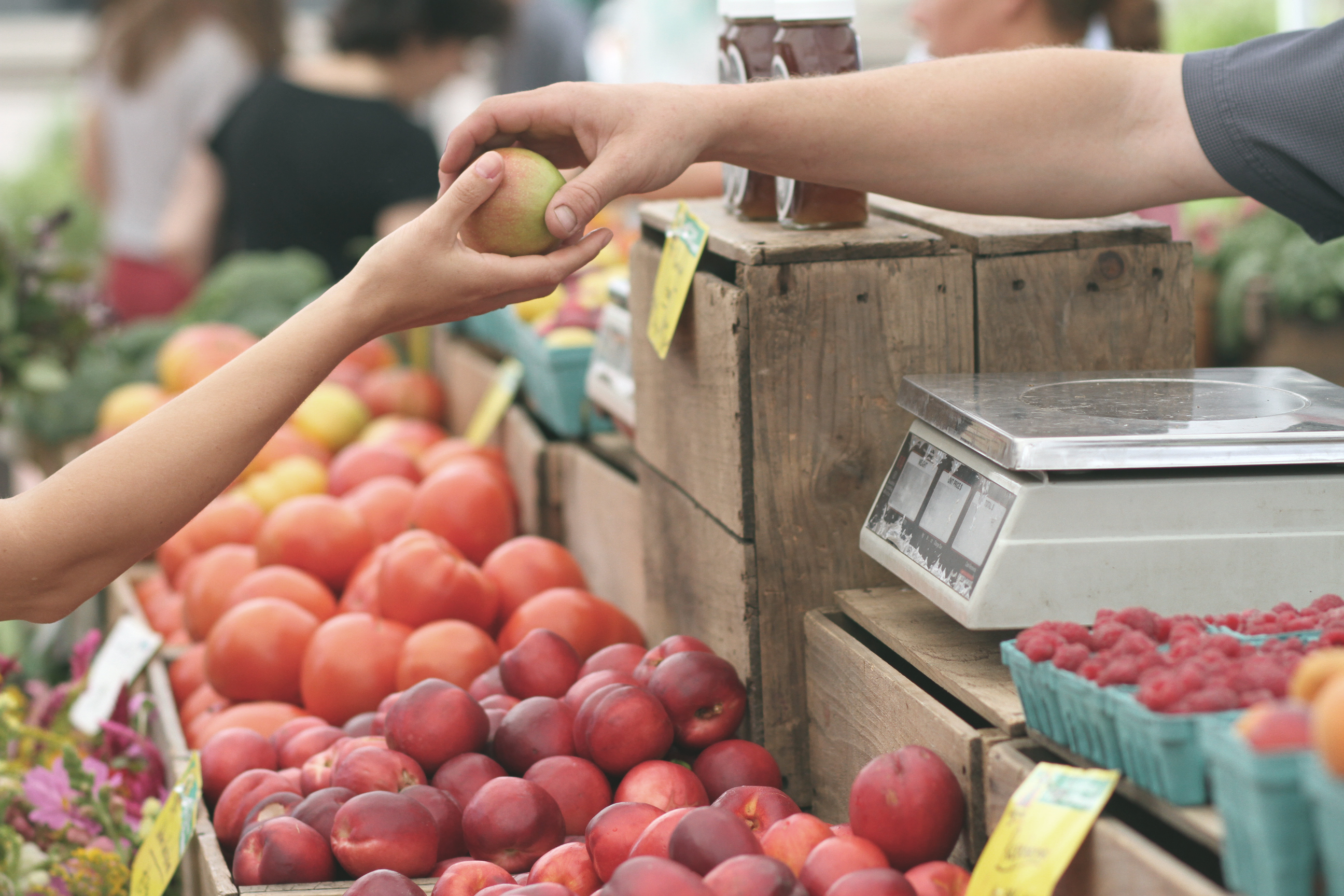 Various Fruits at a farm market.