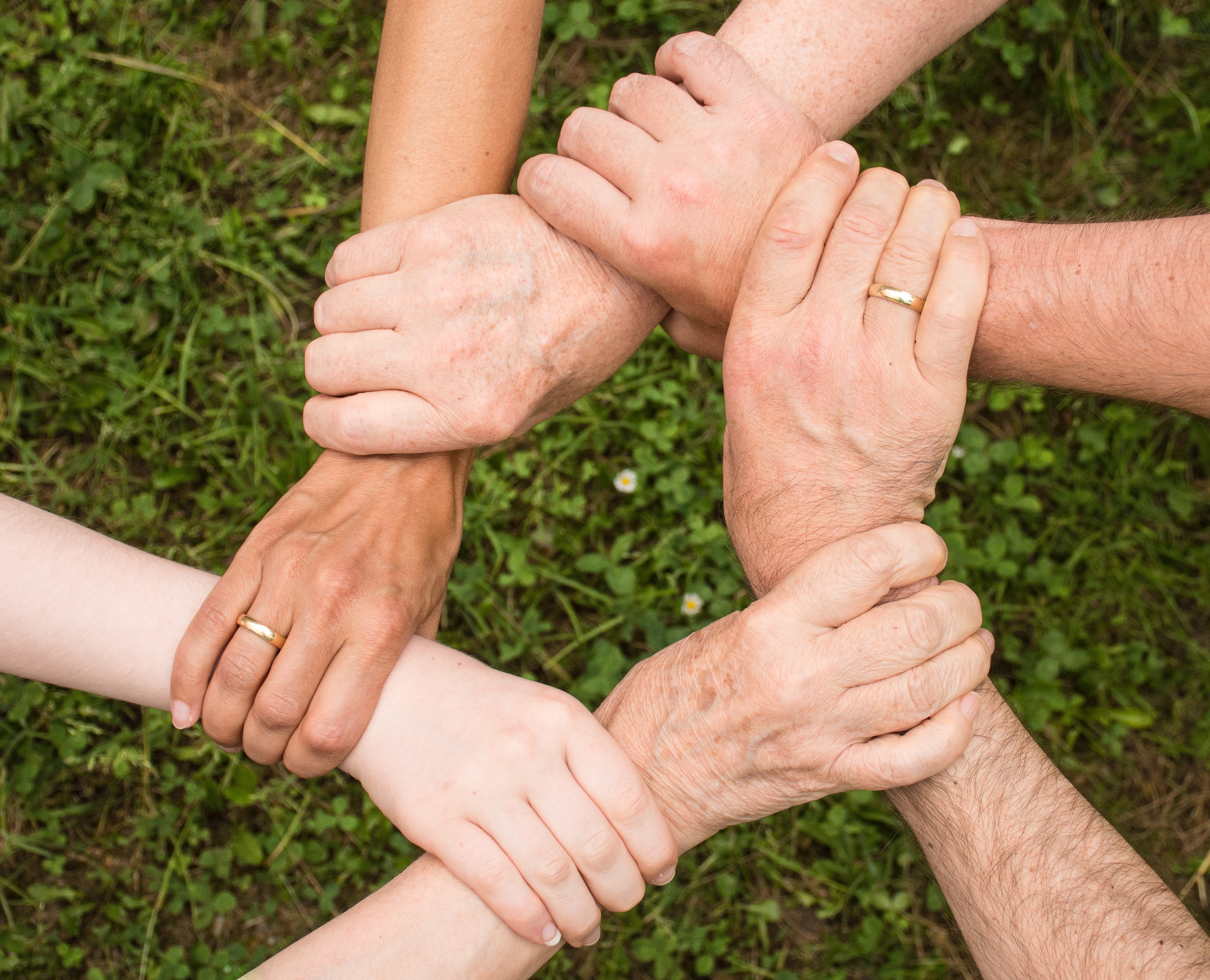 Six hands hold each other's wrists, forming a circle.